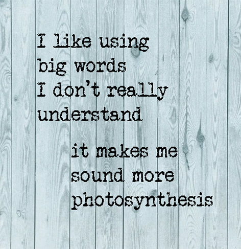 Big Words Photosynthesis Card